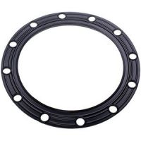 Прокладка для бойлера Drazice під фланець 6273129 D=170/230mm